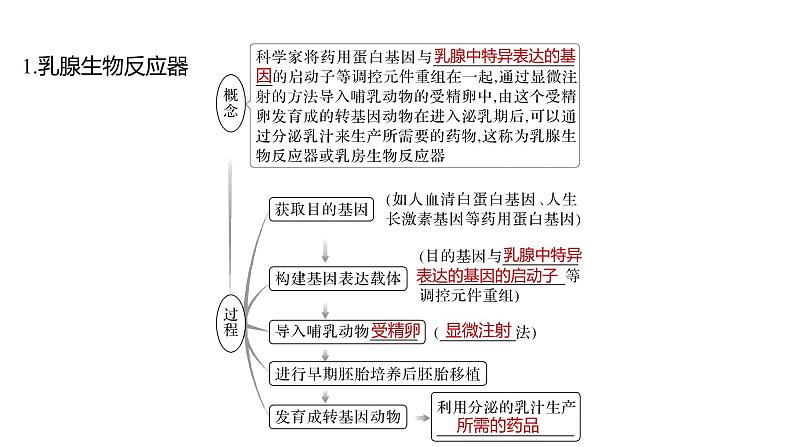 2025届高考 一轮复习 人教版　基因工程的应用和蛋白质工程 课件第5页