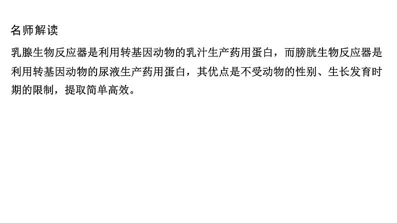 2025届高考 一轮复习 人教版　基因工程的应用和蛋白质工程 课件第6页