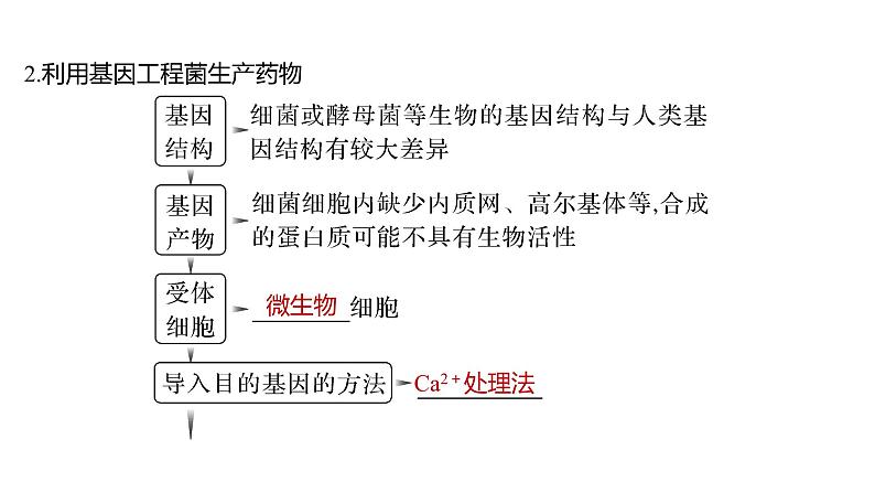 2025届高考 一轮复习 人教版　基因工程的应用和蛋白质工程 课件第7页