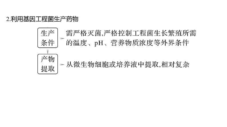 2025届高考 一轮复习 人教版　基因工程的应用和蛋白质工程 课件第8页