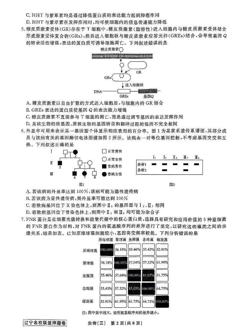 2024届辽宁省名校联盟高三下学期高考模拟卷（押题卷）（三）生物试题第2页