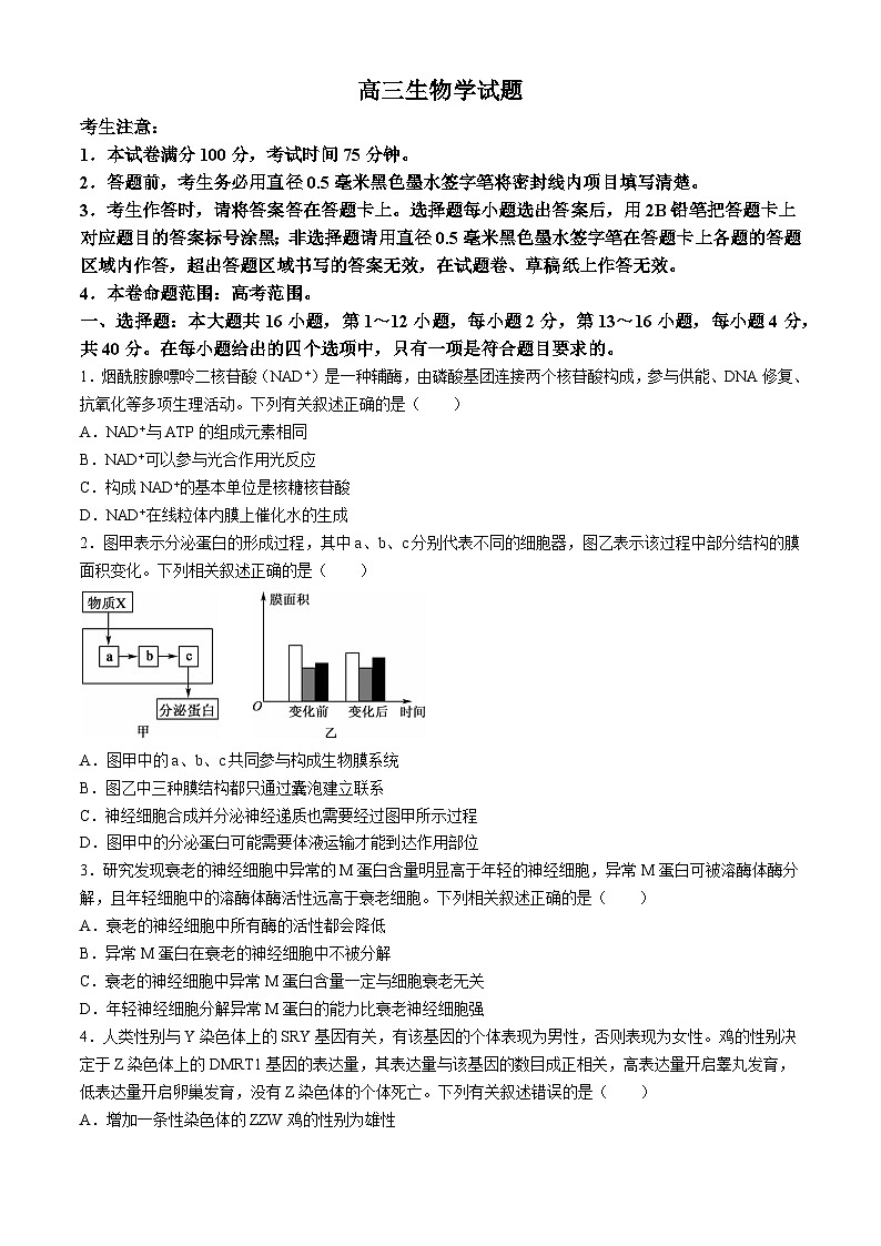 广东省深圳市光明区高级中学2023-2024学年高三下学期5月模拟考试生物试题第1页