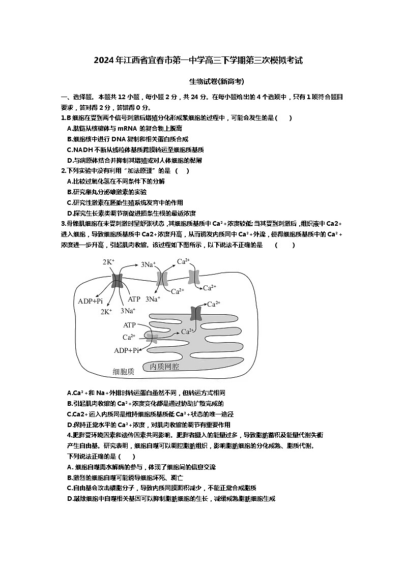 江西省宜春市第一中学2023-2024学年高三下学期第三次模拟考试生物试卷01