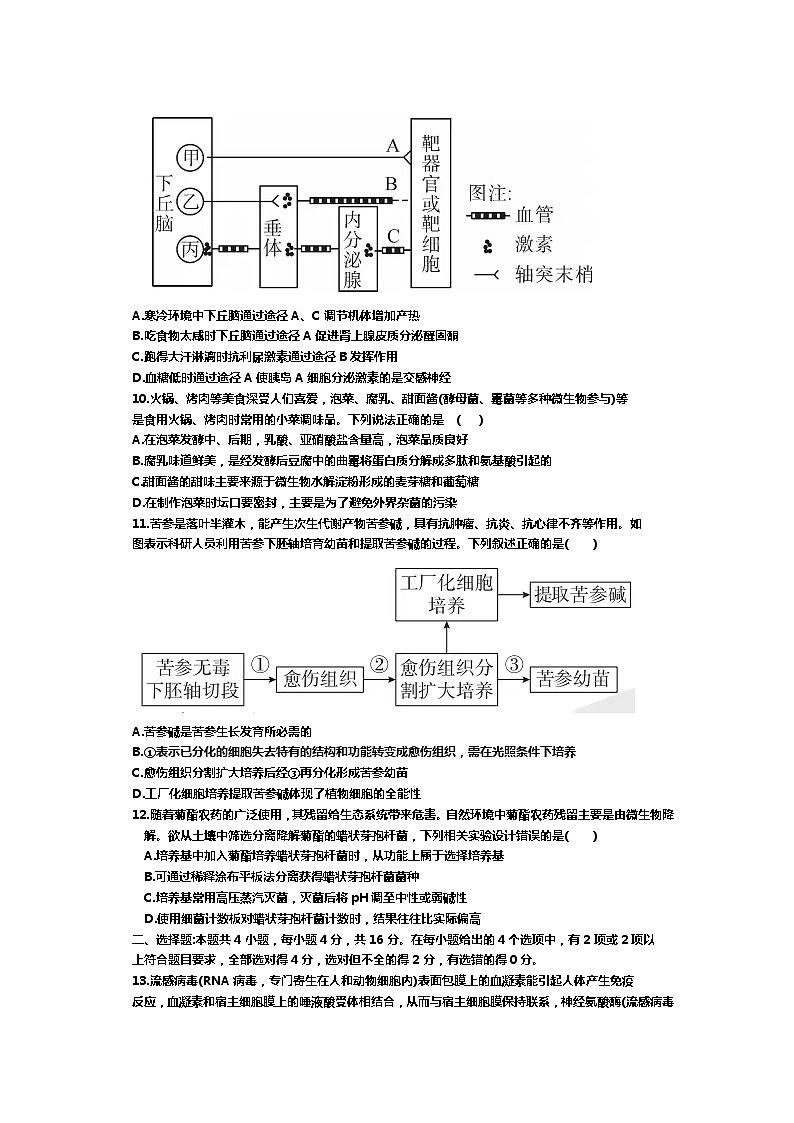 江西省宜春市第一中学2023-2024学年高三下学期第三次模拟考试生物试卷03