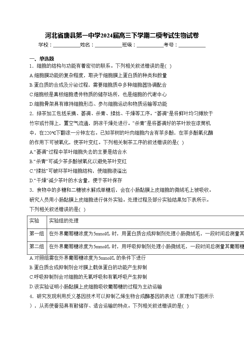 河北省唐县第一中学2024届高三下学期二模考试生物试卷(含答案)第1页