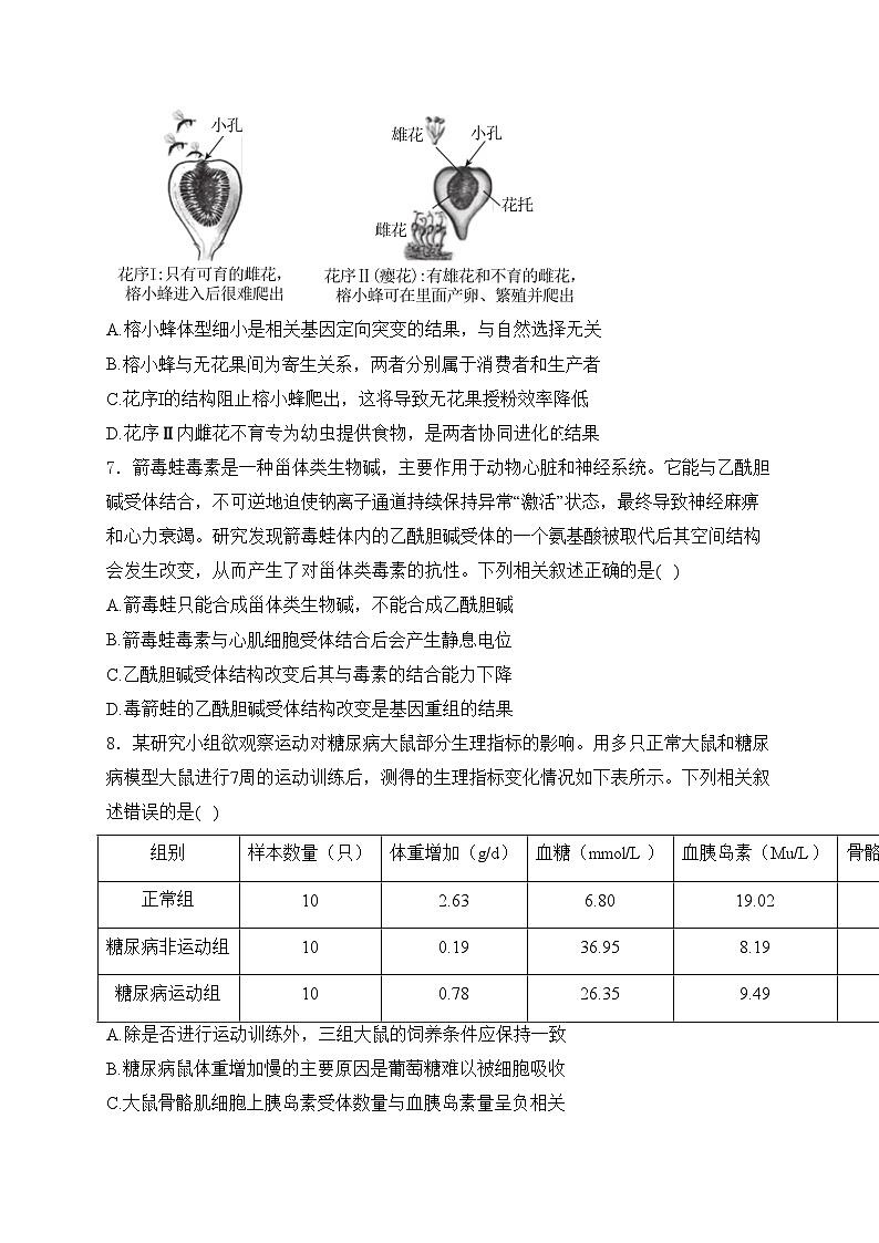 河北省唐县第一中学2024届高三下学期二模考试生物试卷(含答案)第3页