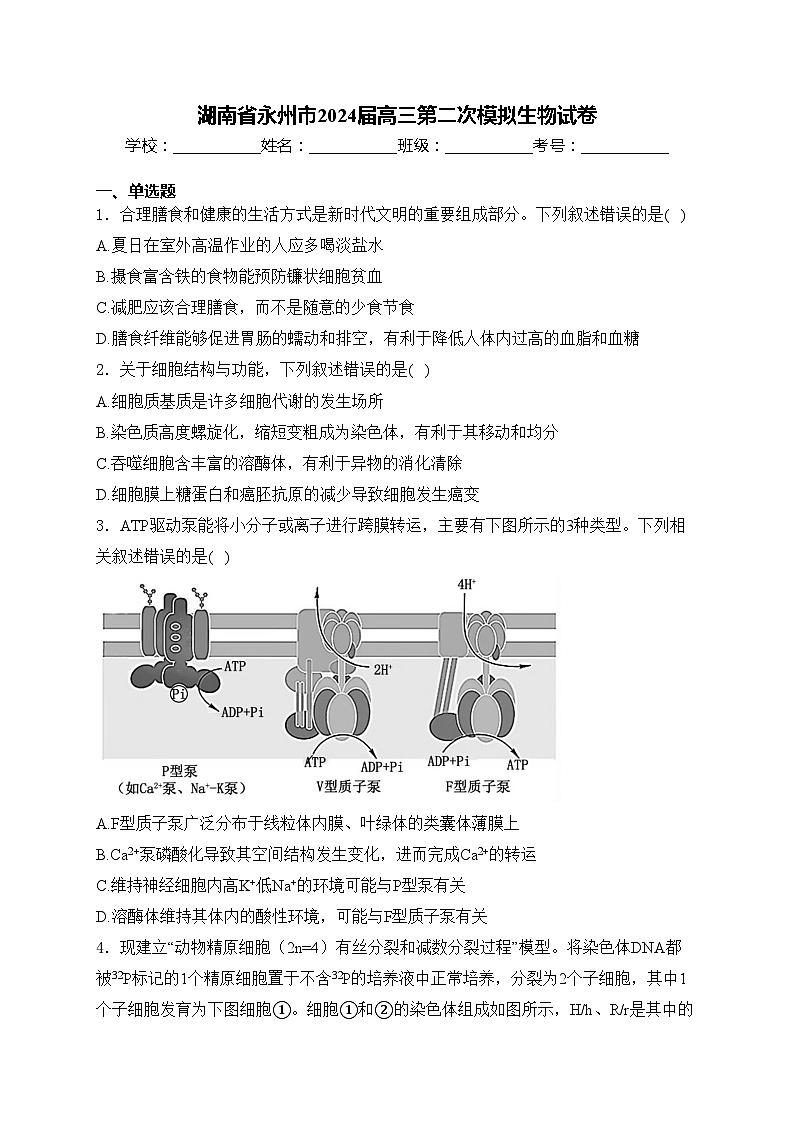 湖南省永州市2024届高三第二次模拟生物试卷(含答案)第1页