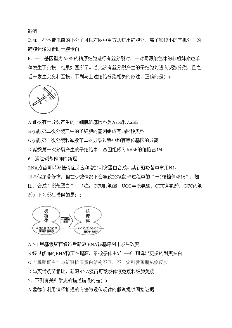 江苏省海安高级中学2024届高三下学期第二次模拟考试生物试卷(含答案)02