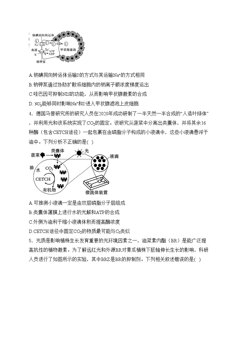 漯河市高级中学2024届高三下学期5月检测一生物试卷(含答案)第2页