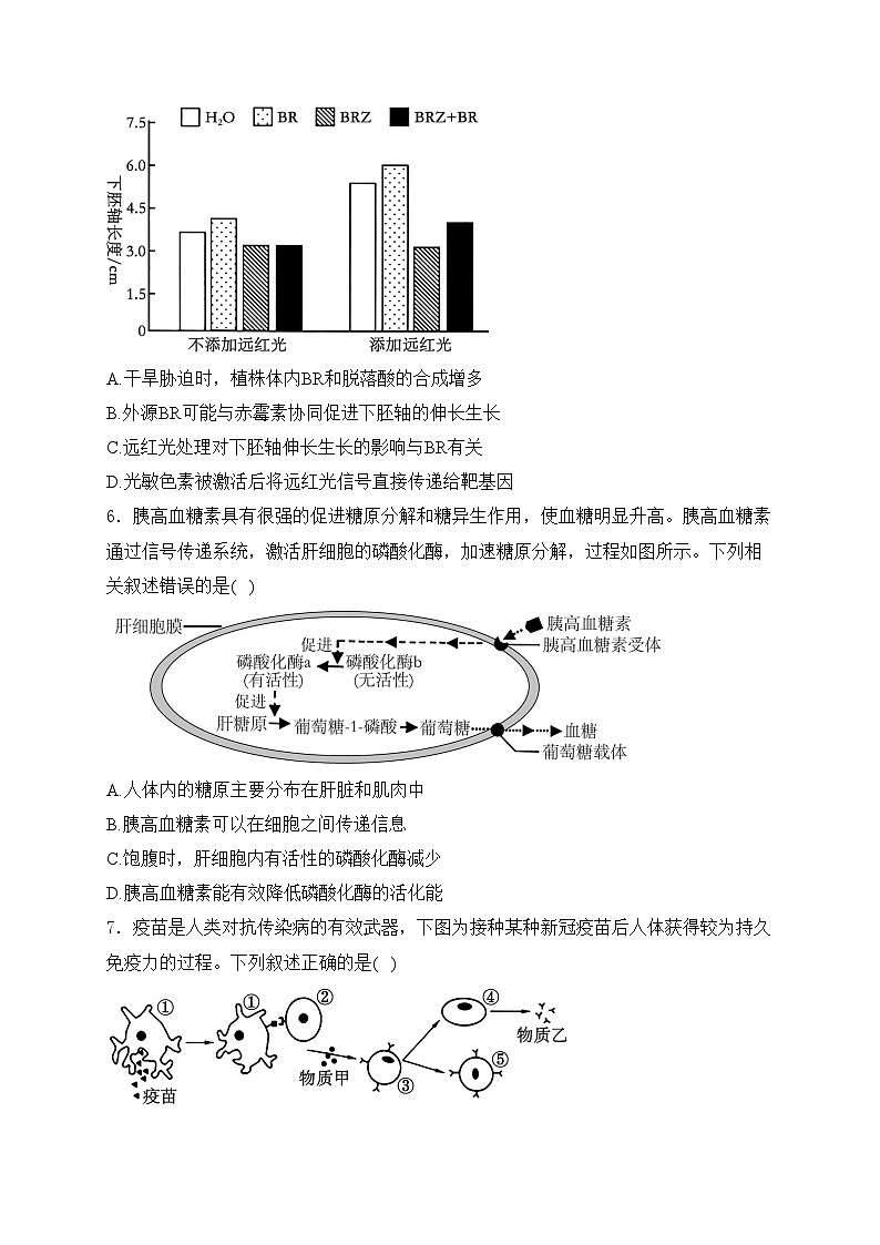 漯河市高级中学2024届高三下学期5月检测一生物试卷(含答案)第3页