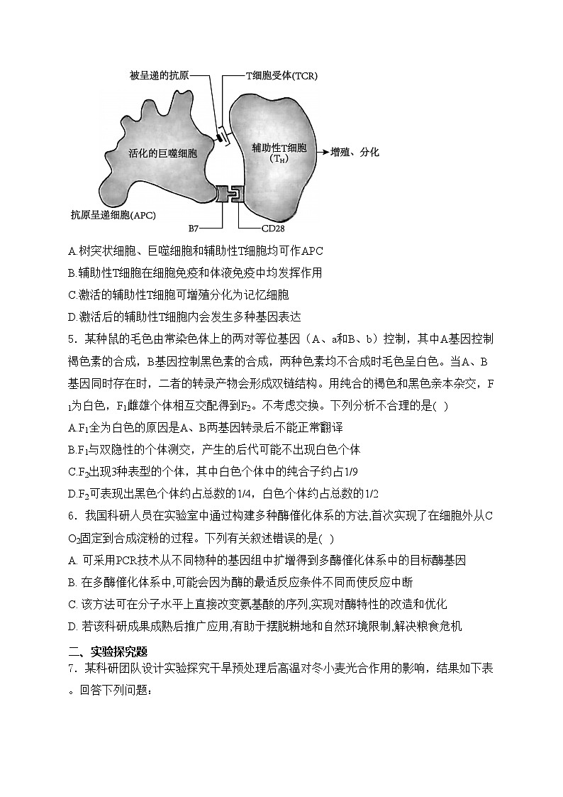 新疆喀什地区2024届高三下学期4月适应性检测生物试卷(含答案)第2页