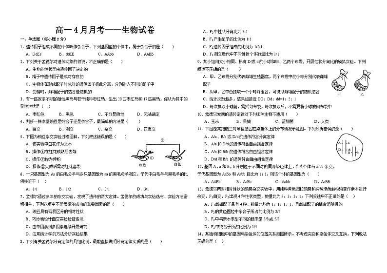 河北省唐山市某重点学校2023-2024学年高一下学期4月月考生物试题01