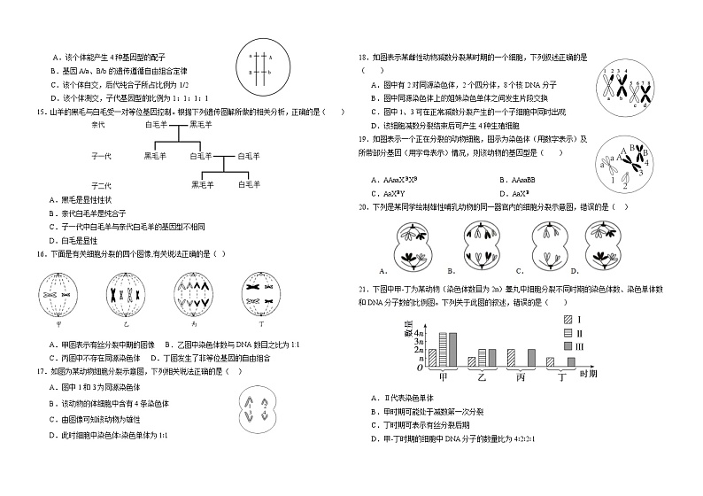 河北省唐山市某重点学校2023-2024学年高一下学期4月月考生物试题02