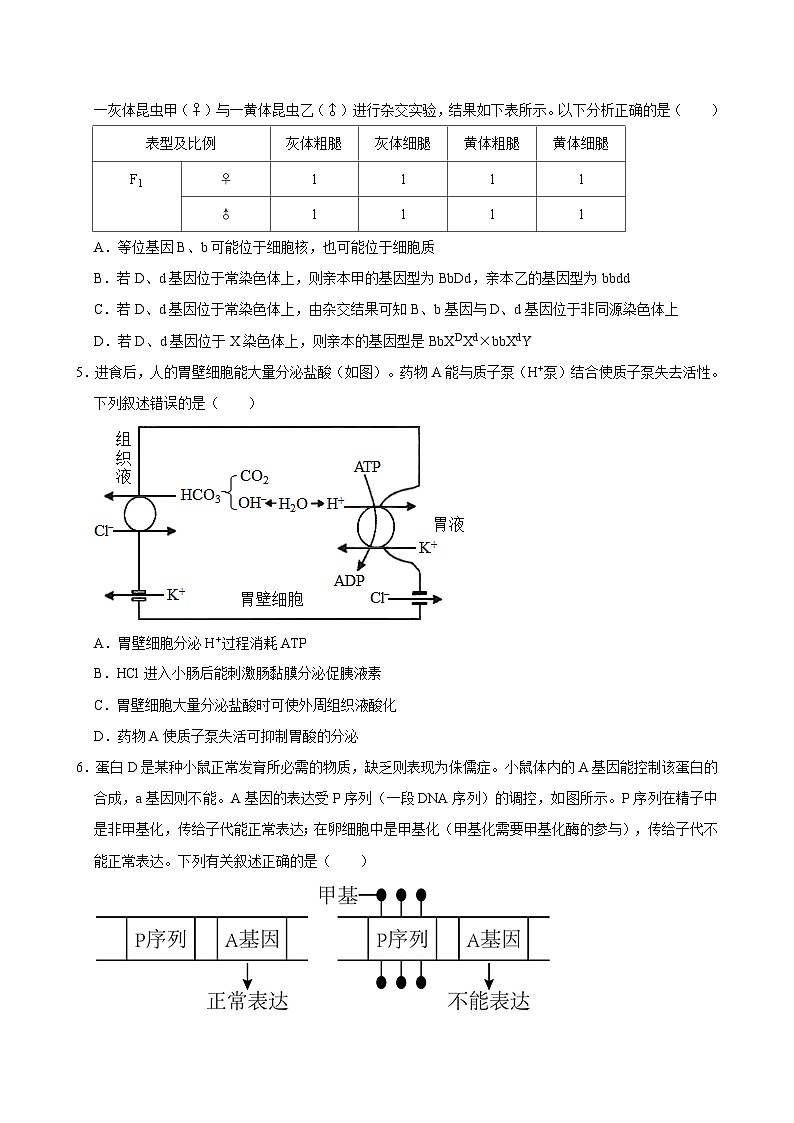 湖南省岳阳市岳汨五月联考2023-2024学年高三下学期5月月考生物试题第2页