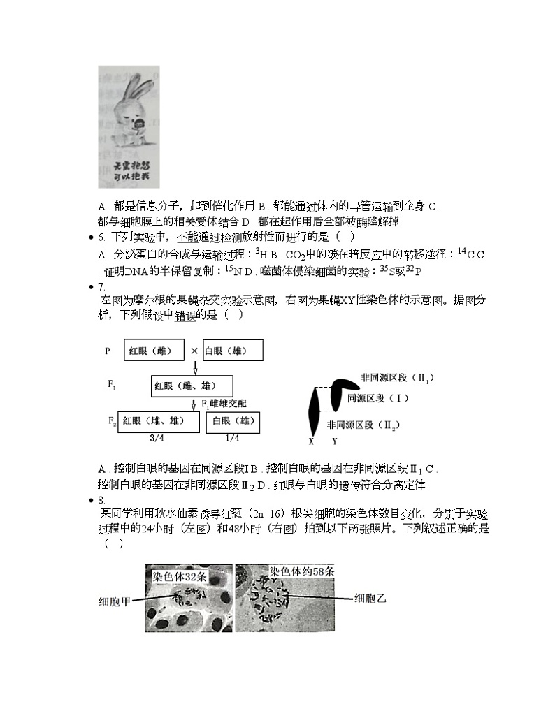 广东省2024届高三一模生物试题02