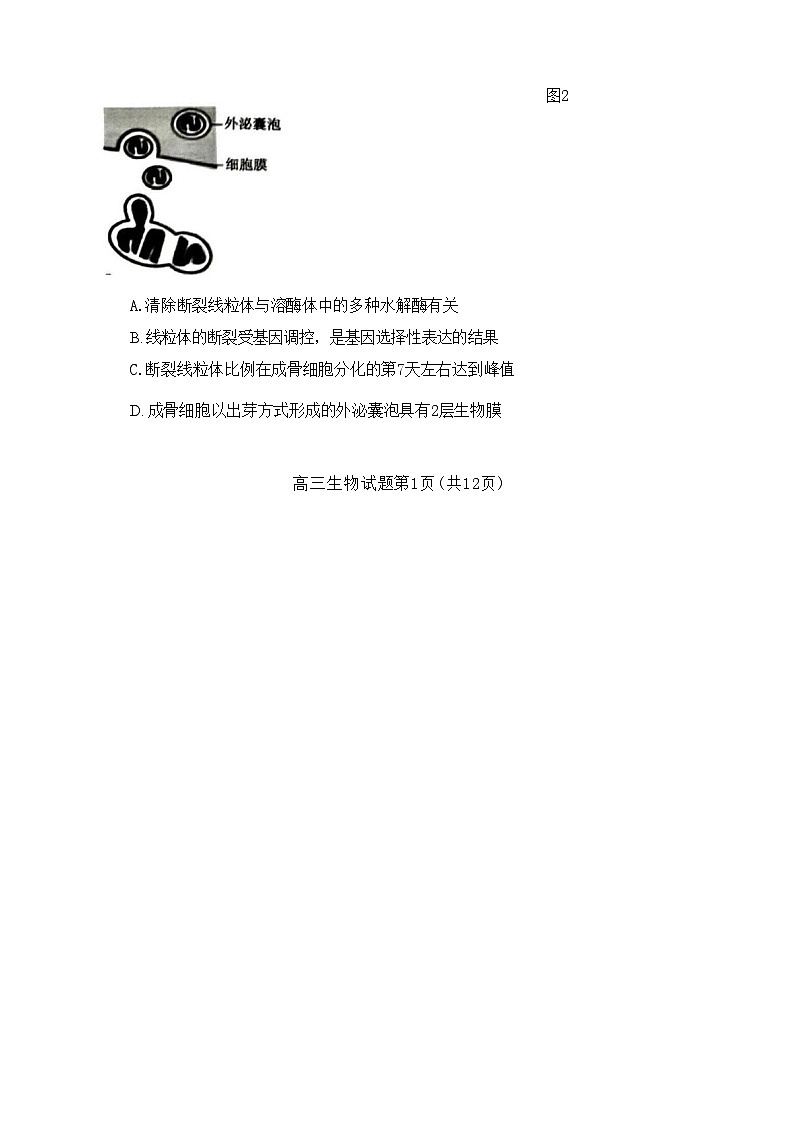 山东省泰安市2024年(届)高三年级四模生物试卷+答案02