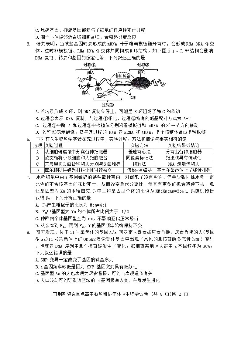 2024湖北省宜荆荆随恩高三下学期二模生物试题含解析02