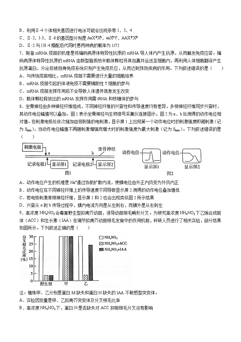 2024临沂高三下学期二模试题生物含答案03