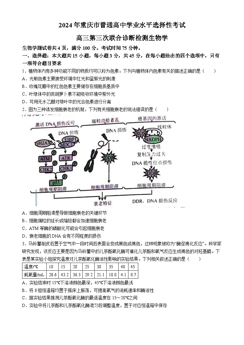 2024重庆市康德卷高三下学期第三次联合诊断检测试题生物含解析第1页