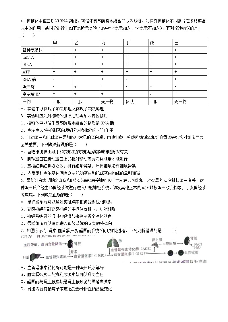 2024重庆市康德卷高三下学期第三次联合诊断检测试题生物含解析第2页