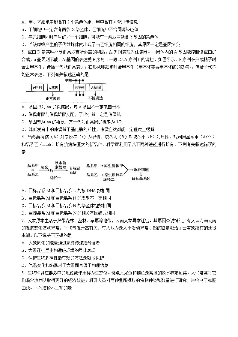 2024天津河北区高三下学期二模试题生物含答案02