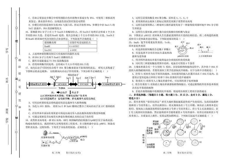 2024太原五中高二下学期5月月考试题生物PDF版含答案（可编辑）03