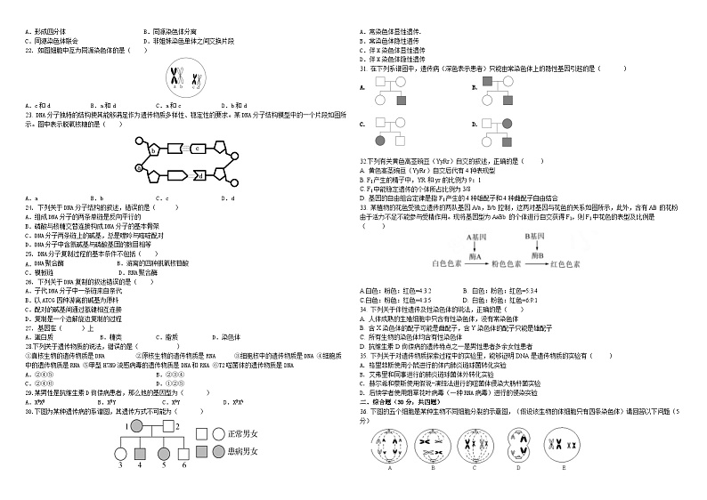 2024省佳木斯三校联考高一下学期4月期中考试生物含答案02