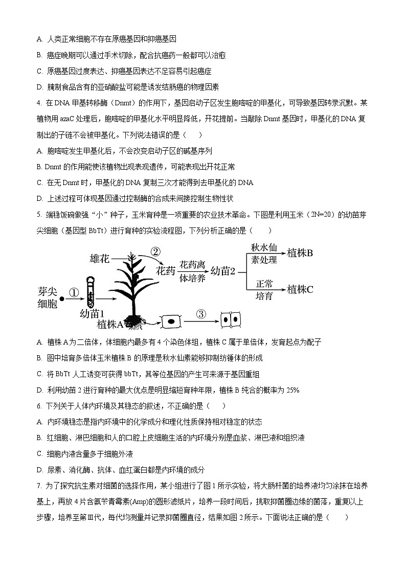 2024保定部分学校高一下学期13期中考试生物含解析02