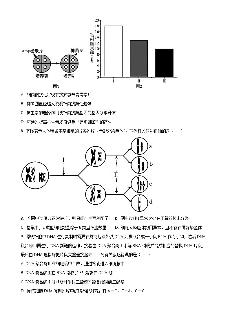 2024保定部分学校高一下学期13期中考试生物含解析03