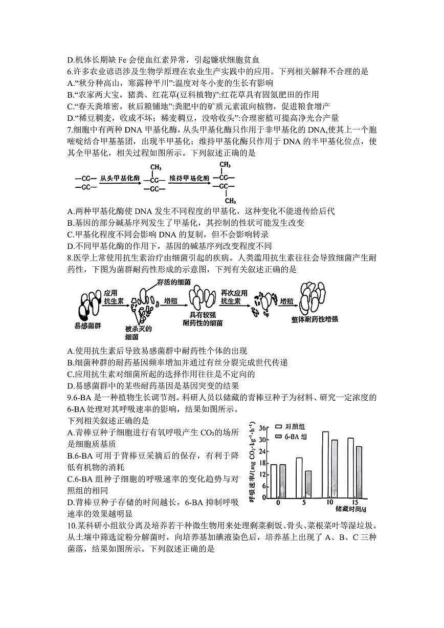 广东省金太阳2024年(届)高三年级下学期5月联考生物试题（含答案）第2页