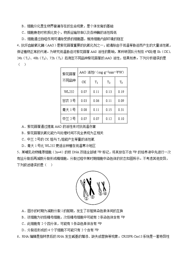 2024年高考第三次模拟考试题：生物（安徽卷）（考试版）02