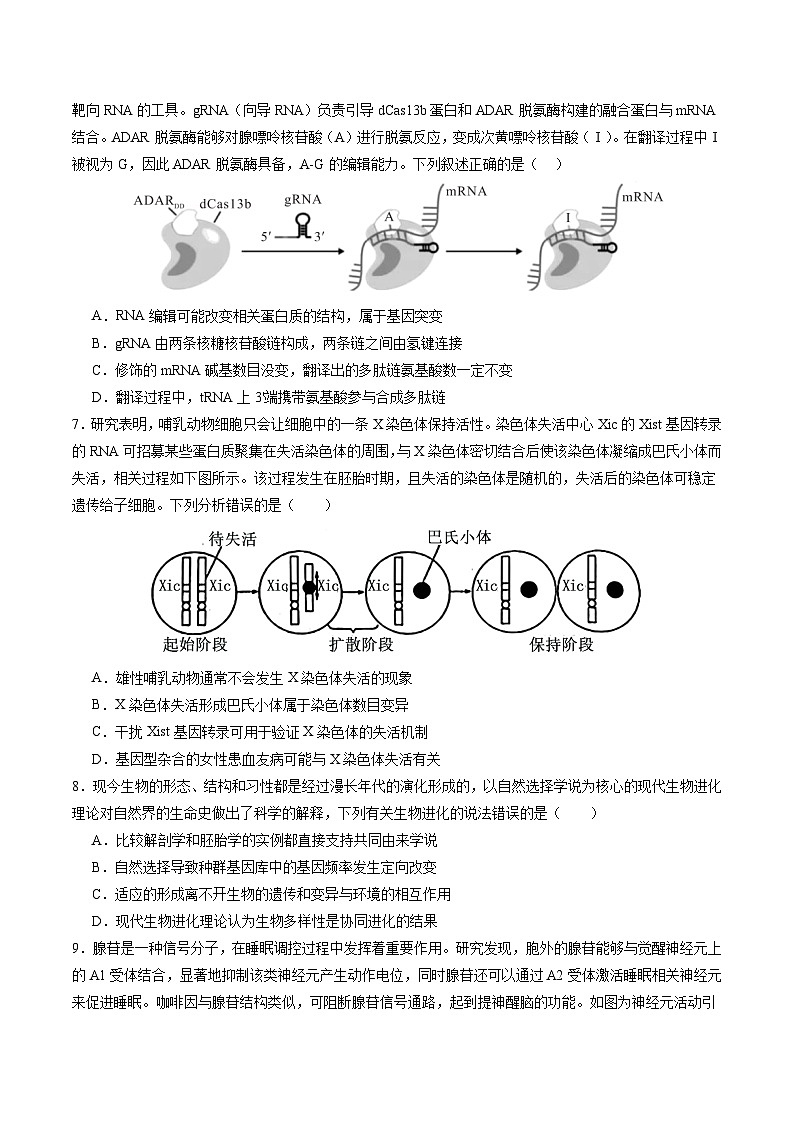 2024年高考第三次模拟考试题：生物（安徽卷）（考试版）03