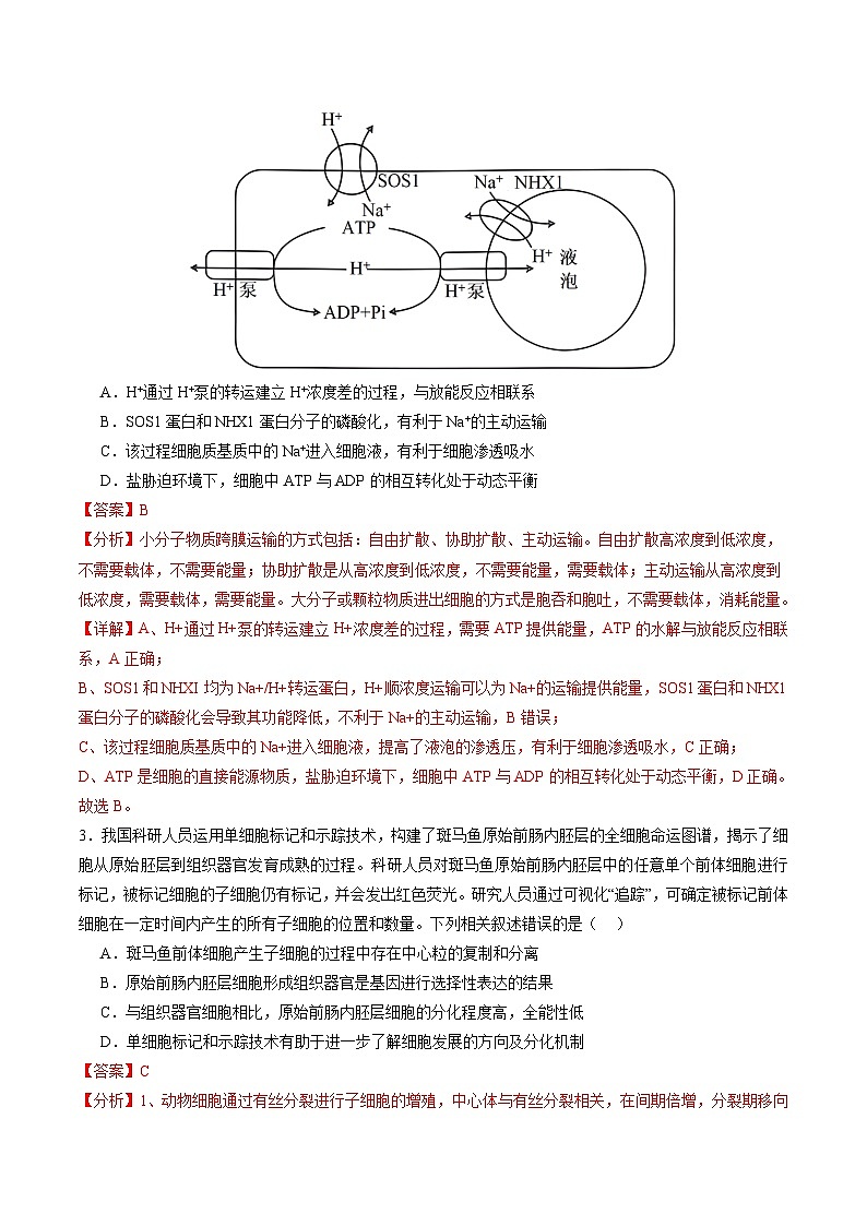 2024年高考第三次模拟考试题：生物（福建卷）（解析版）02