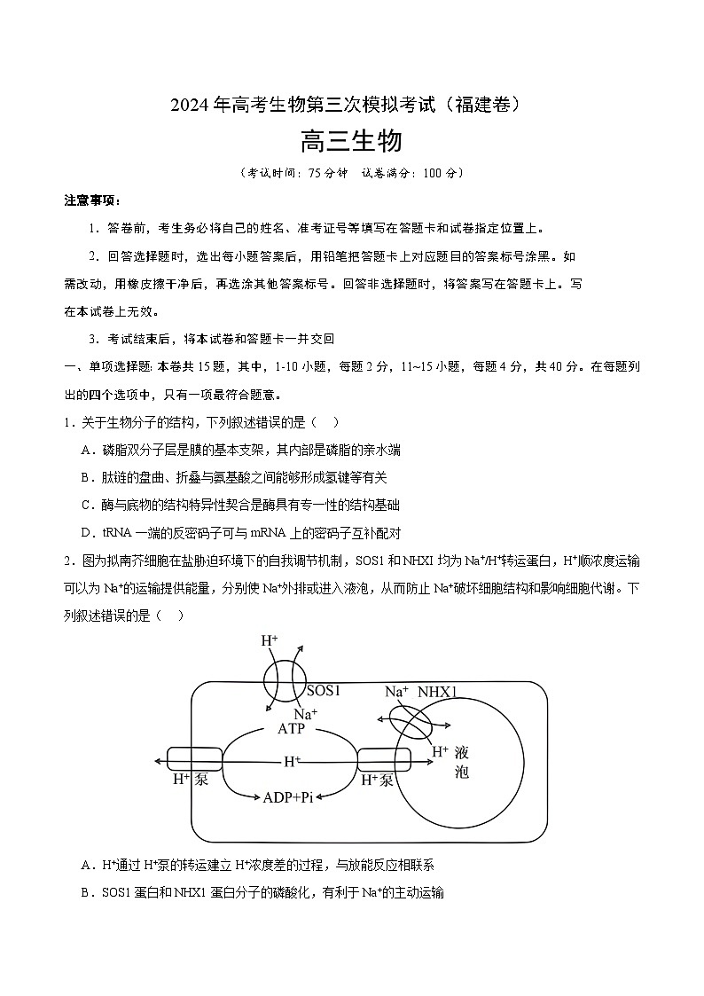 2024年高考第三次模拟考试题：生物（福建卷）（考试版）01