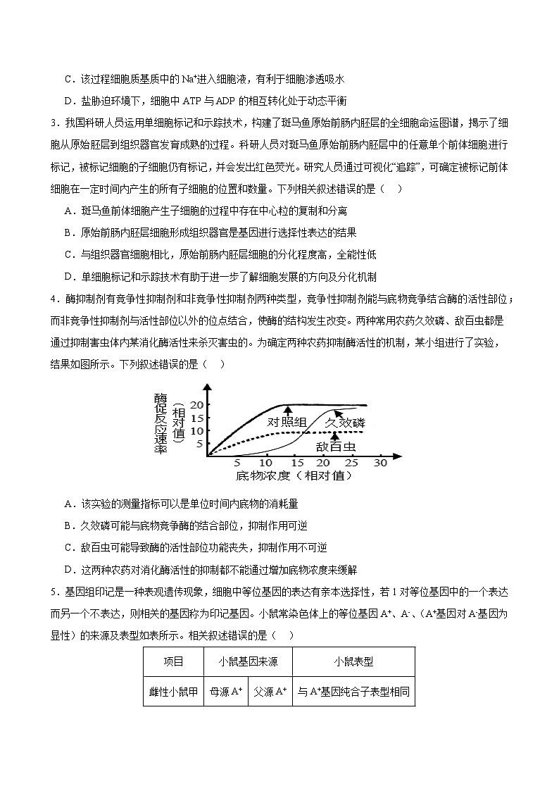 2024年高考第三次模拟考试题：生物（福建卷）（考试版）02
