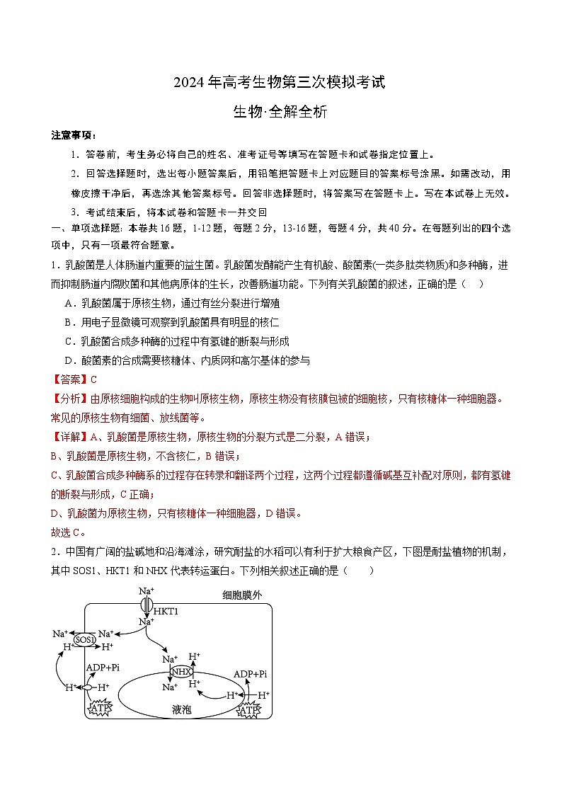 2024年高考第三次模拟考试题：生物（广西卷）（解析版）第1页