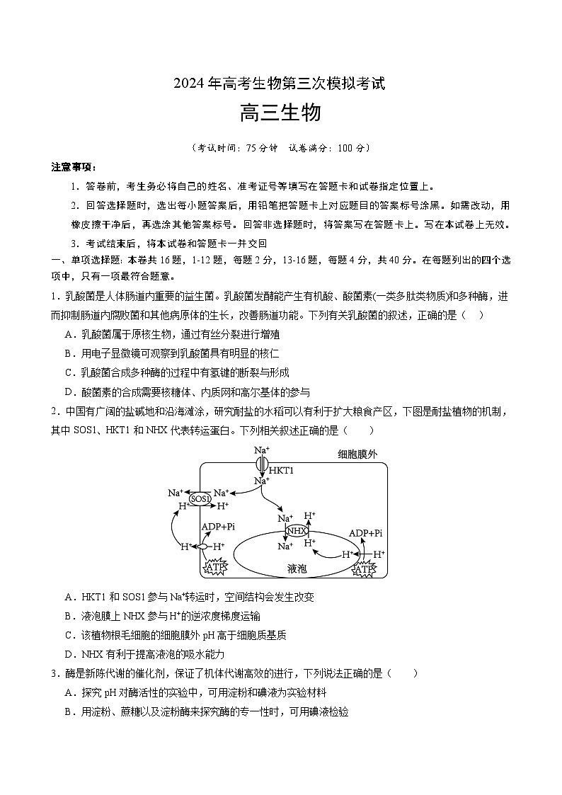 2024年高考第三次模拟考试题：生物（广西卷）（考试版）01