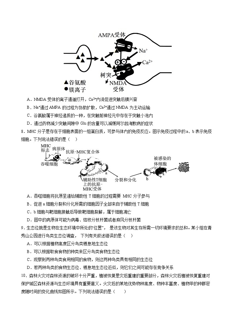 2024年高考第三次模拟考试题：生物（广西卷）（考试版）03