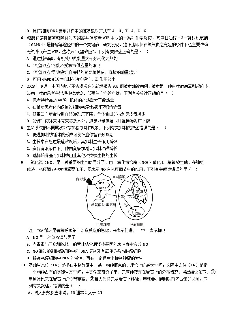 2024年高考第三次模拟考试题：生物（河北卷）（考试版）第2页