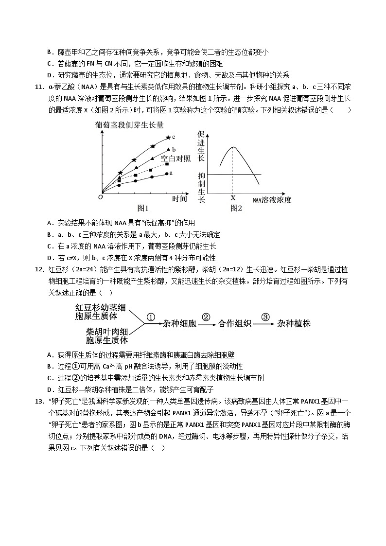 2024年高考第三次模拟考试题：生物（河北卷）（考试版）第3页