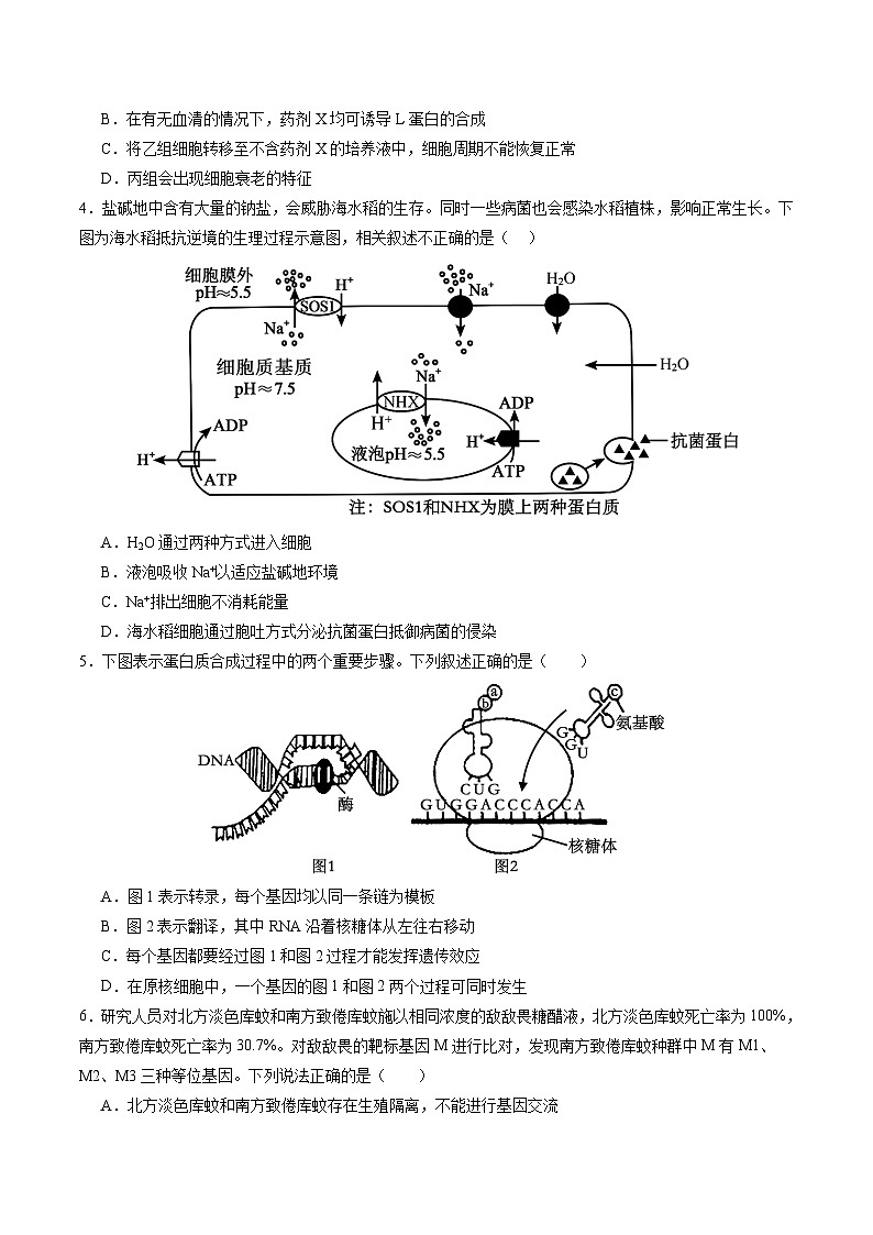 2024年高考第三次模拟考试题：生物（湖北卷）（考试版）02
