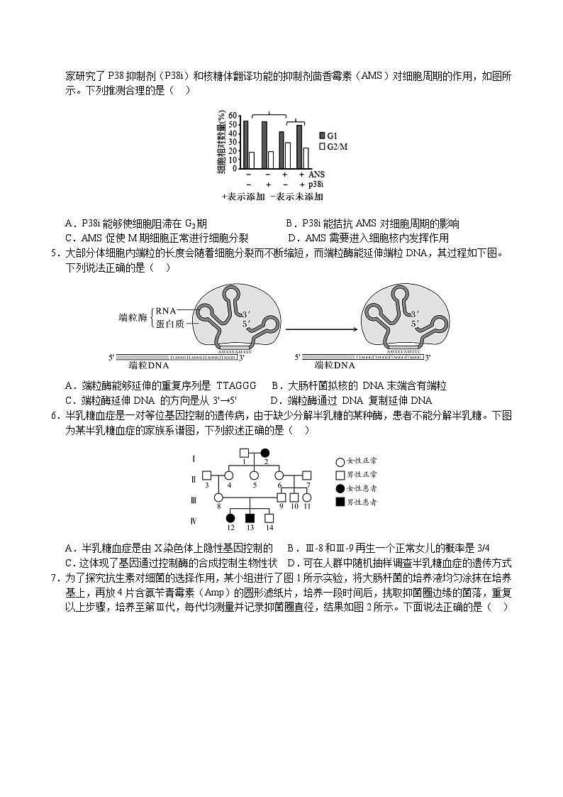 2024年高考第三次模拟考试题：生物（重庆卷）（考试版）02