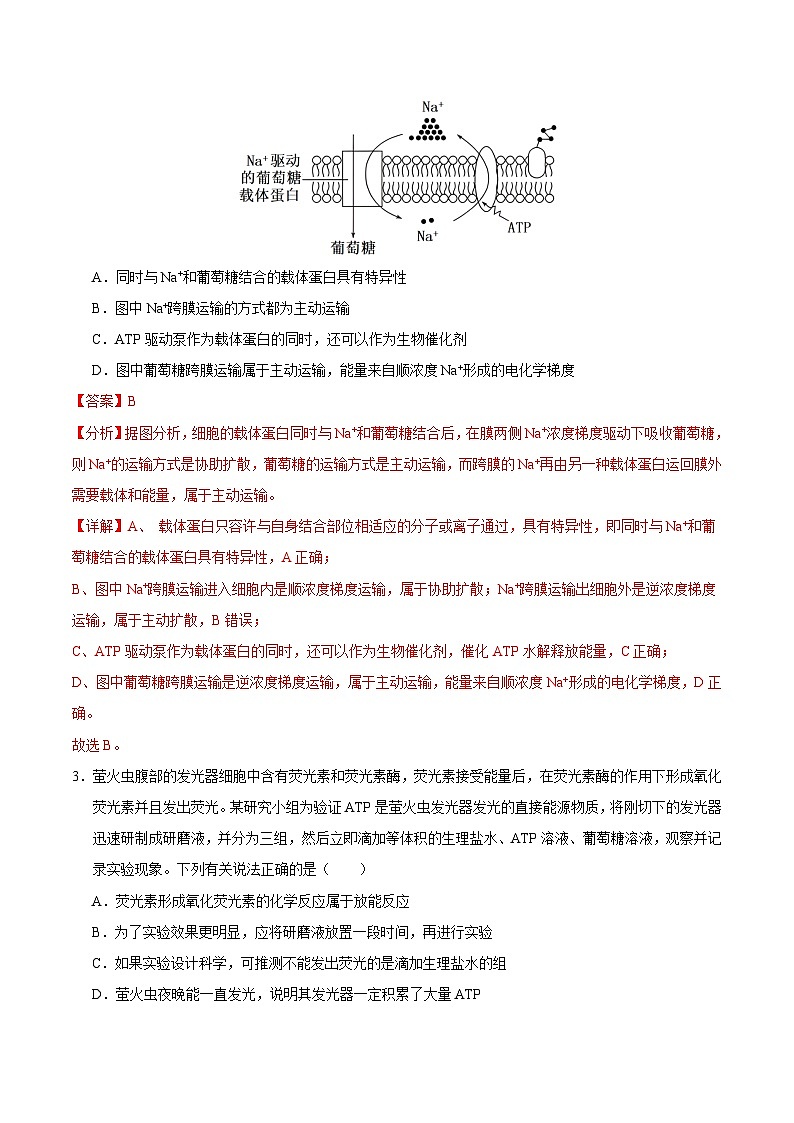 2024年高考第三次模拟考试题：生物（天津卷）（解析版）02