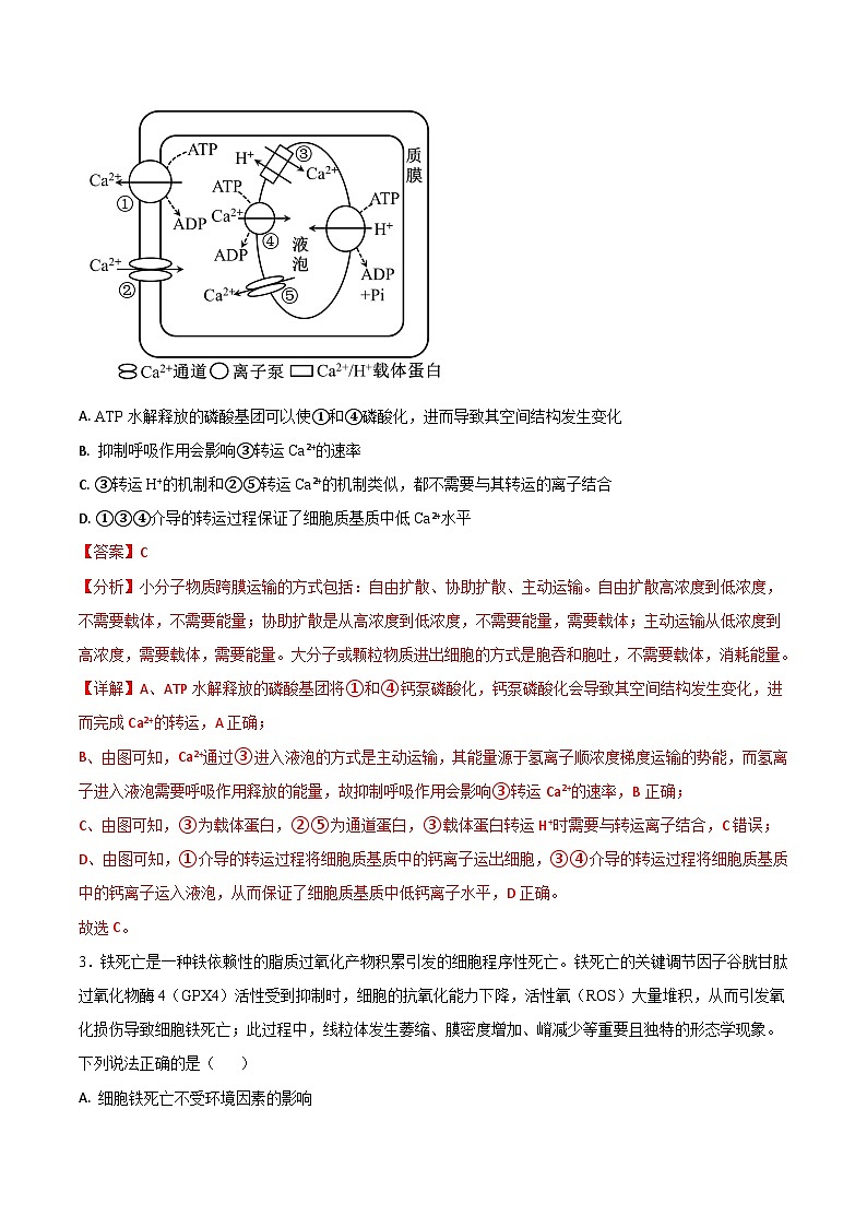 2024年高考第三次模拟考试题：生物（山东卷）（解析版）02