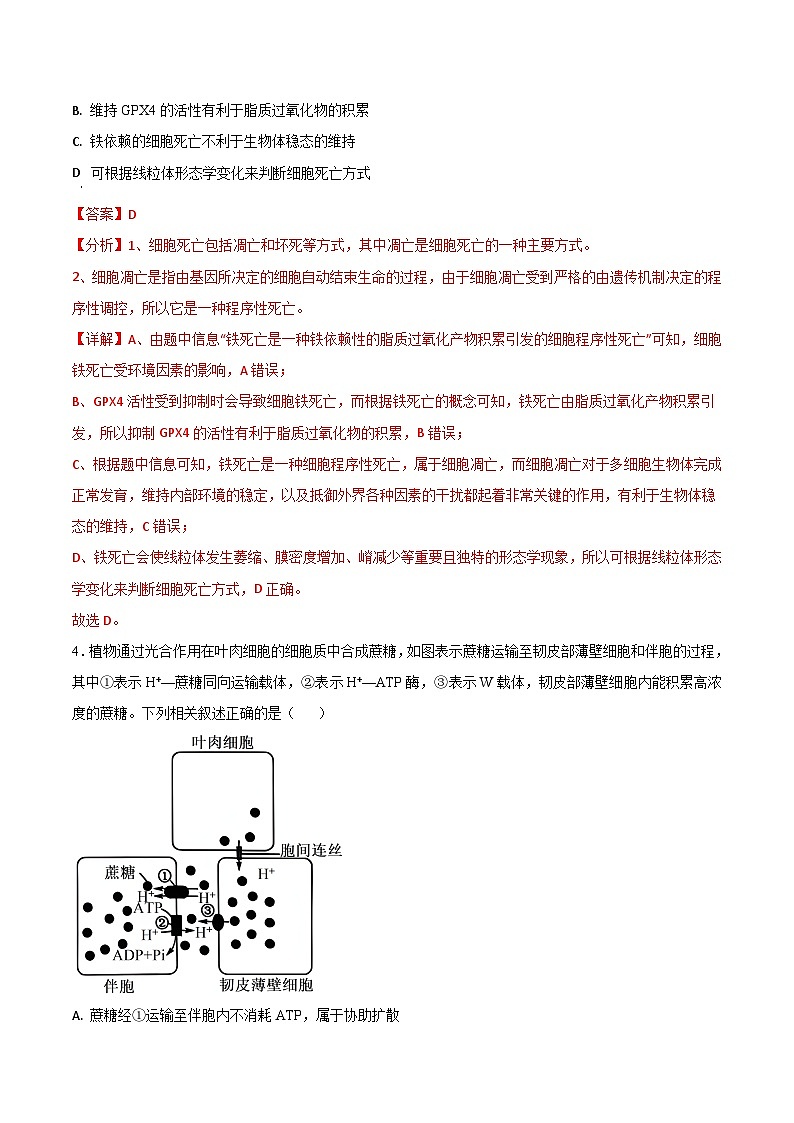 2024年高考第三次模拟考试题：生物（山东卷）（解析版）03