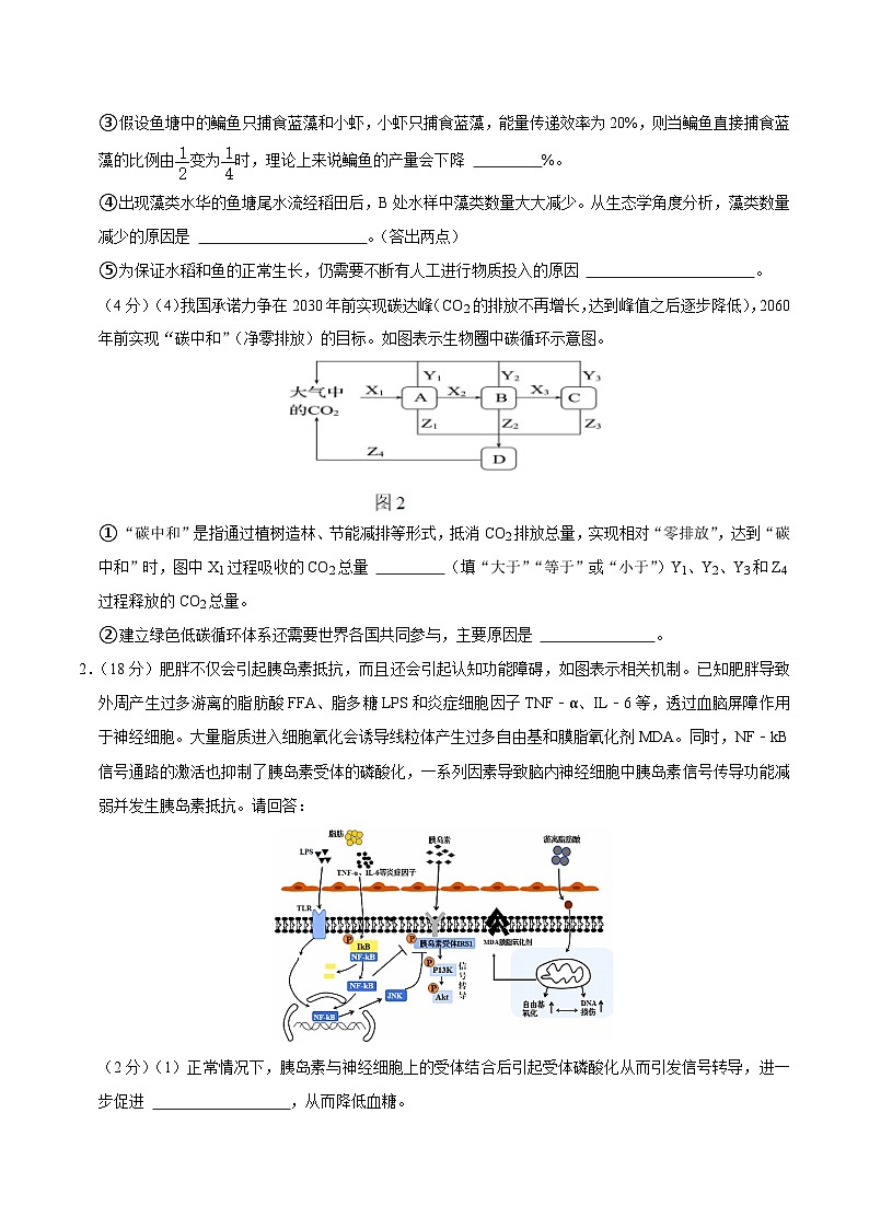 2024年高考第三次模拟考试题：生物（上海卷）（考试版）第2页