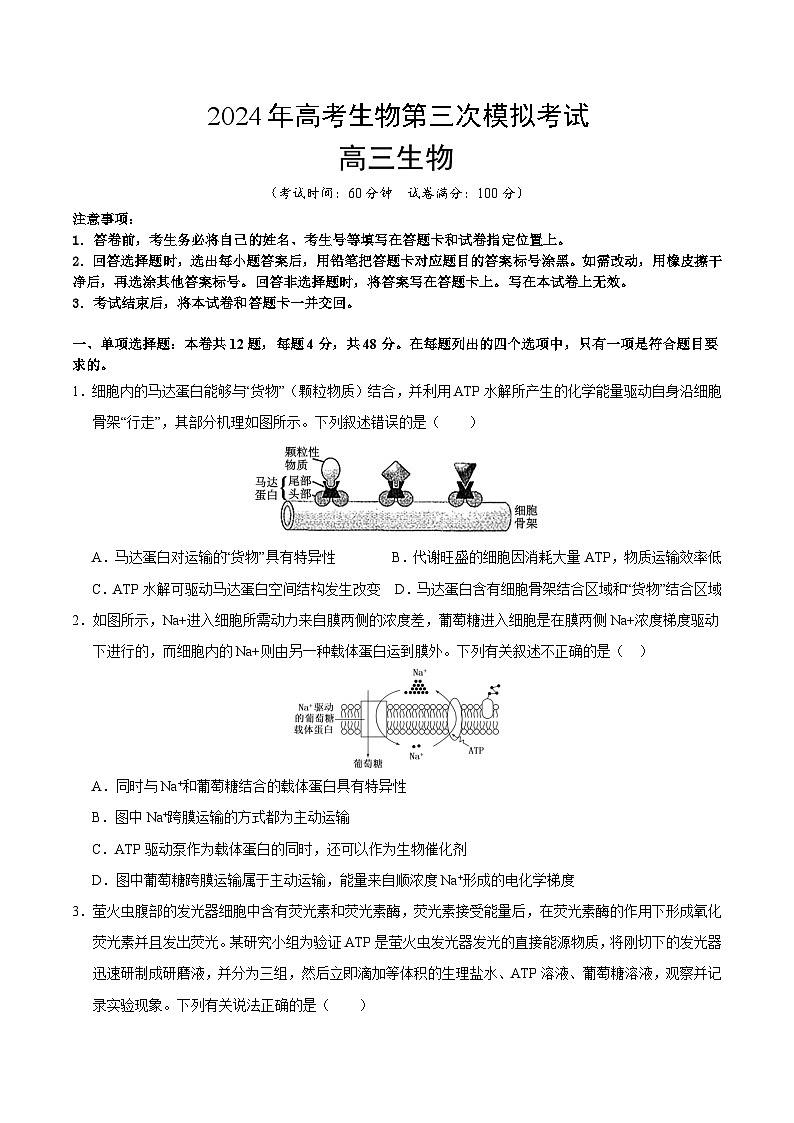 2024年高考第三次模拟考试题：生物（天津卷）（考试版）01