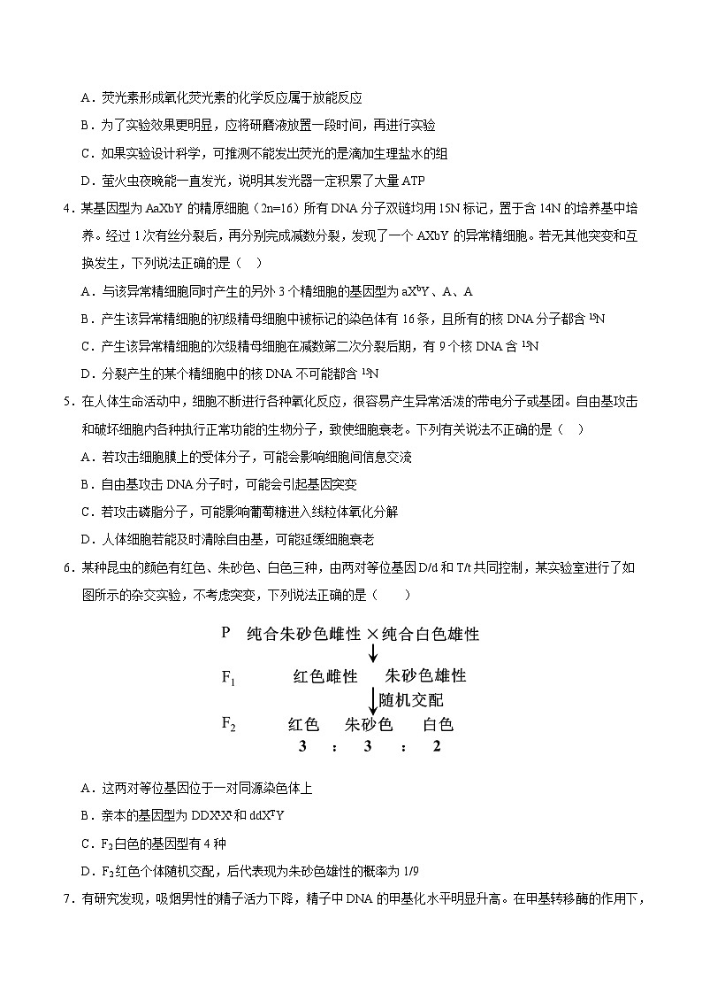 2024年高考第三次模拟考试题：生物（天津卷）（考试版）02