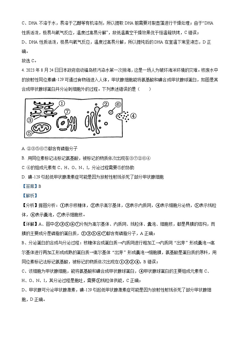 2024届吉林省吉林市普通高中高三第四次模拟考试生物试题（解析版）第3页