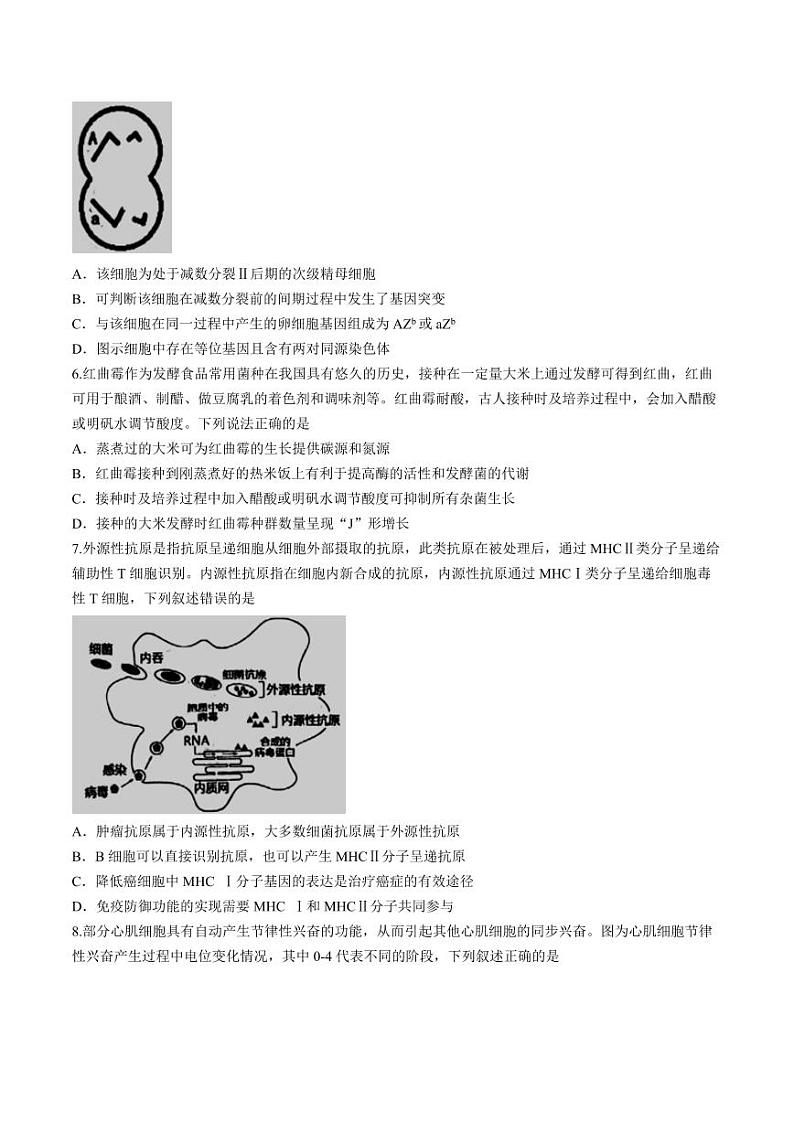 2024届江西省南昌市2高三第三次模拟测试生物试题第2页